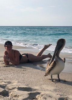 Natasha - puta in Sharm El Sheikh Photo 2 of 6