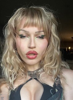 Natasha - Acompañantes transexual in Bangkok Photo 8 of 10