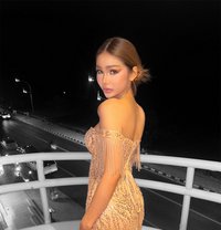 Natcha - Transsexual escort in Phuket