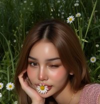 Natcha - Transsexual escort in Phuket