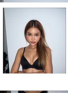 Natcha - Transsexual escort in Phuket Photo 5 of 5