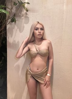 Natchaya - Transsexual escort in Phuket Photo 5 of 5