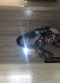 Nathalie Escoto - Transsexual escort in Manila Photo 3 of 4