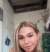 Nathalie Nicole - Acompañantes transexual in Manila