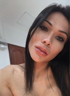 Nattanan - Transsexual escort in Phuket Photo 1 of 7