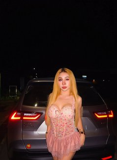 Natthanan - Transsexual escort in Bangkok Photo 13 of 17