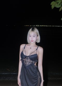 Natty - puta in Osaka Photo 4 of 7