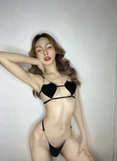 Natty Natty Bangkok - Transsexual adult performer in Bangkok Photo 6 of 6