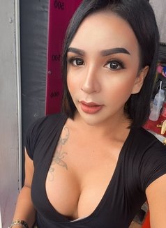 Natty Thailand - Transsexual escort in Phuket Photo 1 of 4