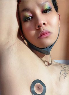 Natty Twink Boy 🇹🇭 - Acompañantes masculino in Bangkok Photo 5 of 6