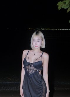 Natty - escort in Bangkok Photo 1 of 6