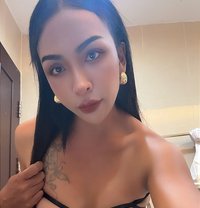 Natty88 - Transsexual escort in Bangkok