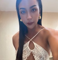 Natty88 - Transsexual escort in Bangkok