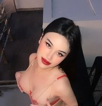 Nattyladyboy - Transsexual escort in Jeddah