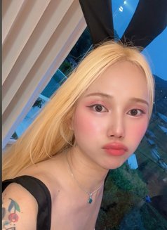 NattyVIP top bottom 69 - Acompañantes transexual in Chiang Mai Photo 21 of 22