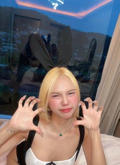 NattyVIP top bottom 69 - Acompañantes transexual in Chiang Mai Photo 22 of 22