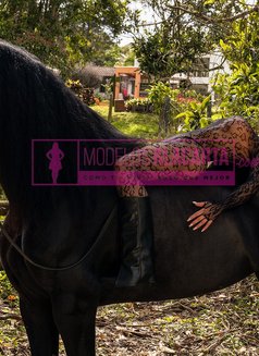 Naty Gold - escort in Medellín Photo 5 of 7
