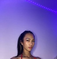 Naughty Girl🤭 - Transsexual escort in Manila