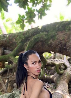 Naughty Girl🤭 - Acompañantes transexual in Manila Photo 5 of 6