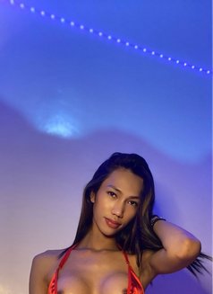Naughty Girl🤭 - Acompañantes transexual in Manila Photo 10 of 11