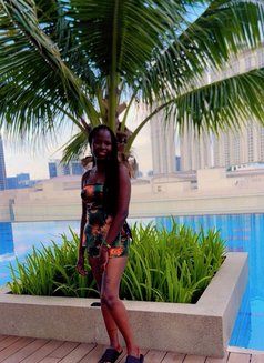 SEXY PETITE Mistress Gina - puta in Kuala Lumpur Photo 3 of 6