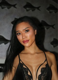 Naughty Notty - Transsexual escort in Pattaya Photo 6 of 17