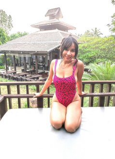 Naughty Sexy Mistress to Entertain You - puta in Bangkok Photo 10 of 14