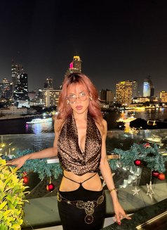Naughty Sum - Acompañantes transexual in Bangkok Photo 13 of 28