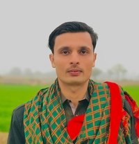 H_N lhr Bull - Intérprete masculino de adultos in Lahore