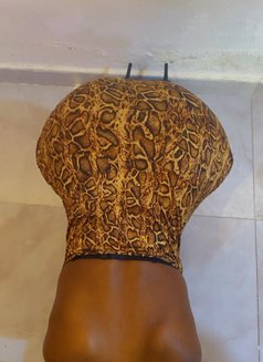 Nay - escort in Cairo Photo 1 of 5