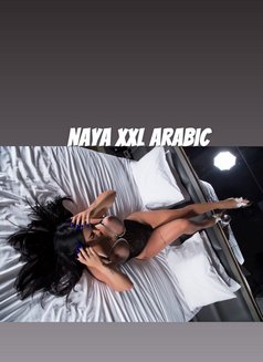 Naya Arabic xxl نايا شميل سكسيه - Transsexual escort in İstanbul Photo 29 of 29
