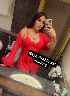 Naya Arabic xxl نايا شميل سكسيه - Transsexual escort in İstanbul Photo 28 of 28