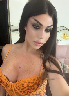 Naya. Hot - Transsexual escort in Beirut Photo 23 of 25