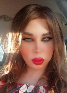 Naya shemale - Transsexual escort in Damascus Photo 1 of 6