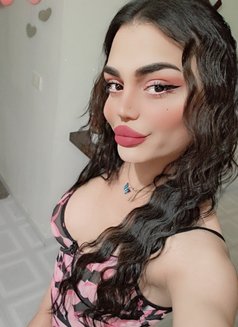 Naya2000gh - Acompañantes transexual in Beirut Photo 4 of 11