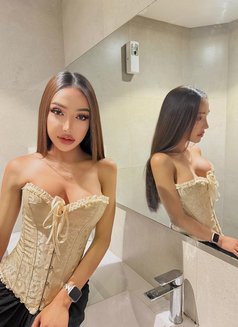 Nayef Vip Massage - Acompañantes transexual in Dubai Photo 1 of 11