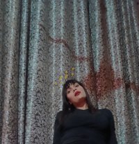 Nayra Nayra - Transsexual escort in Greater Noida