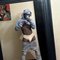 ndingoke - Male escort in Nairobi