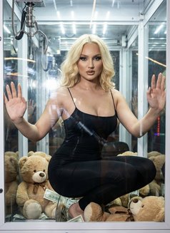 near Ataköy hayat regencyotel Macedonian - Transsexual escort in İstanbul Photo 13 of 13