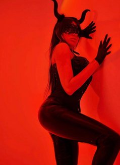 Need a Bitch Slave to Worship My Body - escort in Doha Photo 1 of 5