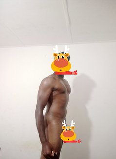 Need a Sex Partner - Acompañantes masculino in Colombo Photo 4 of 5