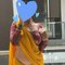 Neha cam show sex chat - puta in New Delhi