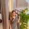 Neha Vip Model - puta in Candolim, Goa Photo 3 of 3