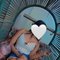 Nehal Sexy Hotty Escort - puta in New Delhi