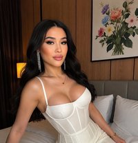Neila from Azerbaijan 🇦🇿 - Transsexual escort in Jeddah