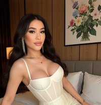 Neila Just Arrived - Transsexual escort in Riyadh