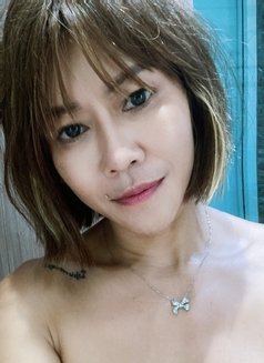 Neko11 - escort in Pattaya Photo 9 of 9
