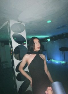 Nelz - Transsexual escort in Manila Photo 7 of 8