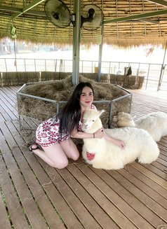 Nene Chubby - Acompañantes transexual in Al Manama Photo 6 of 9