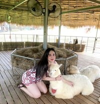 Nene Chubby - Transsexual escort in Al Manama